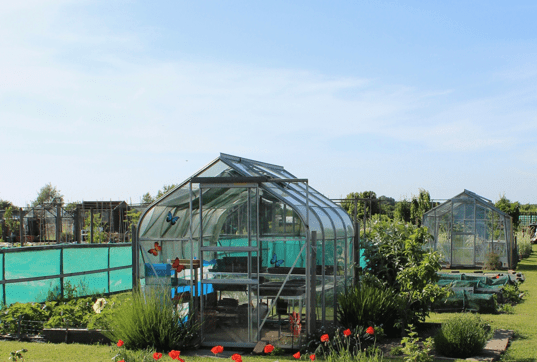 Greenhouse on Poors Land