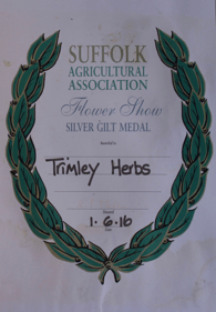 Silver Gilt