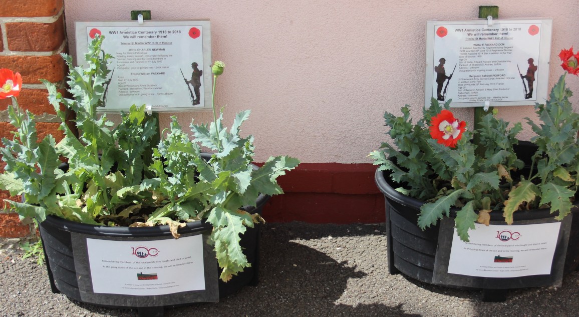 2018 10 July Commerative Poppies outside the Memorial Hall.jpg