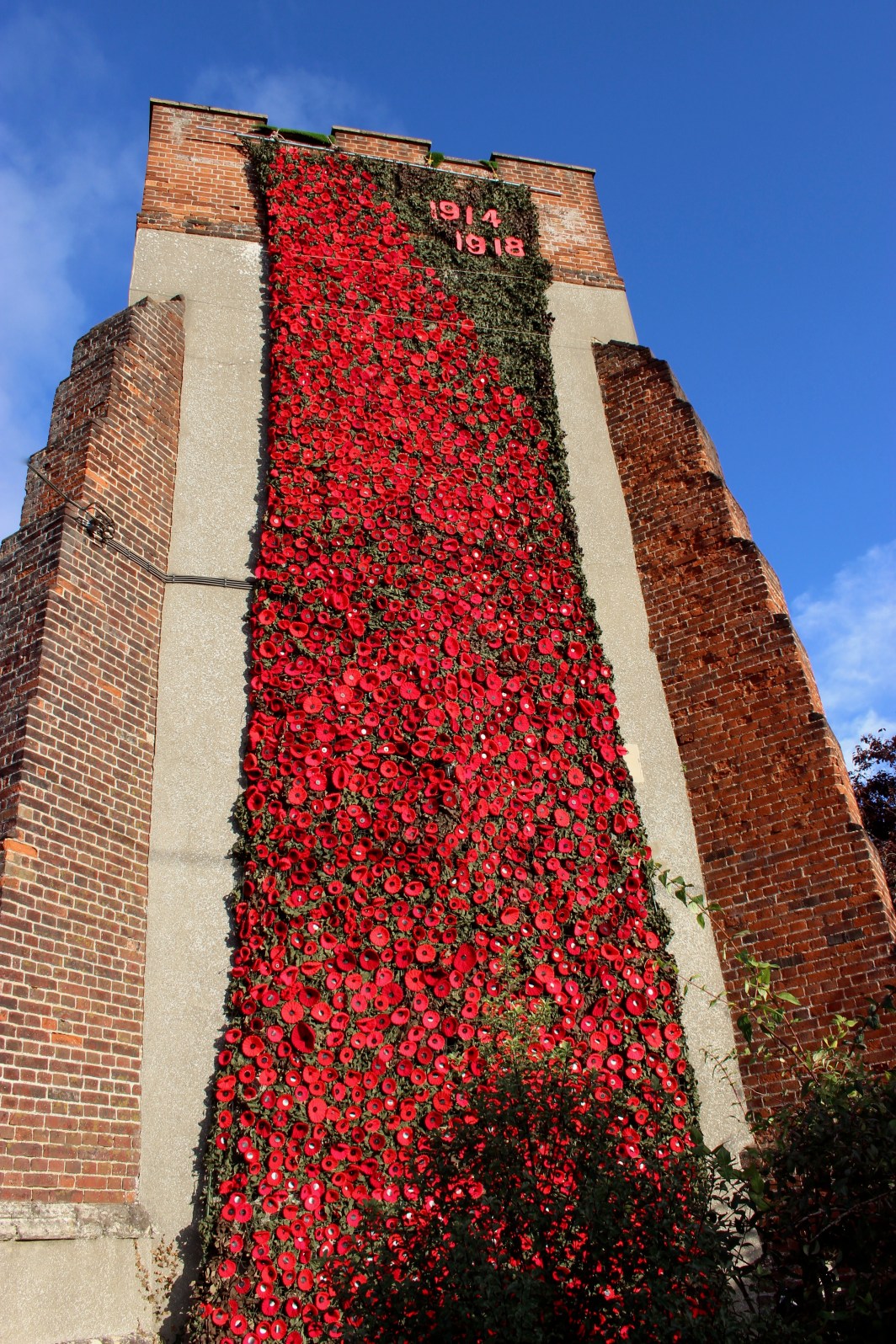2018 27 Oct Cascade of Poppies..jpg
