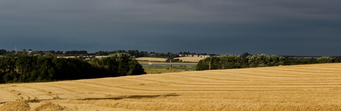 2018 8 Aug near Grimston Hall.jpg