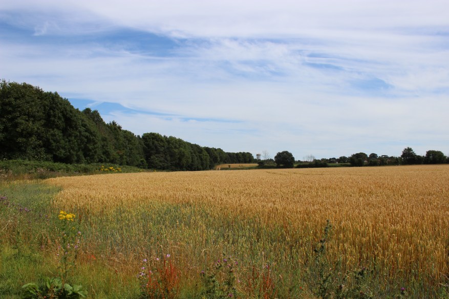 2017 July Land off Howlett Way