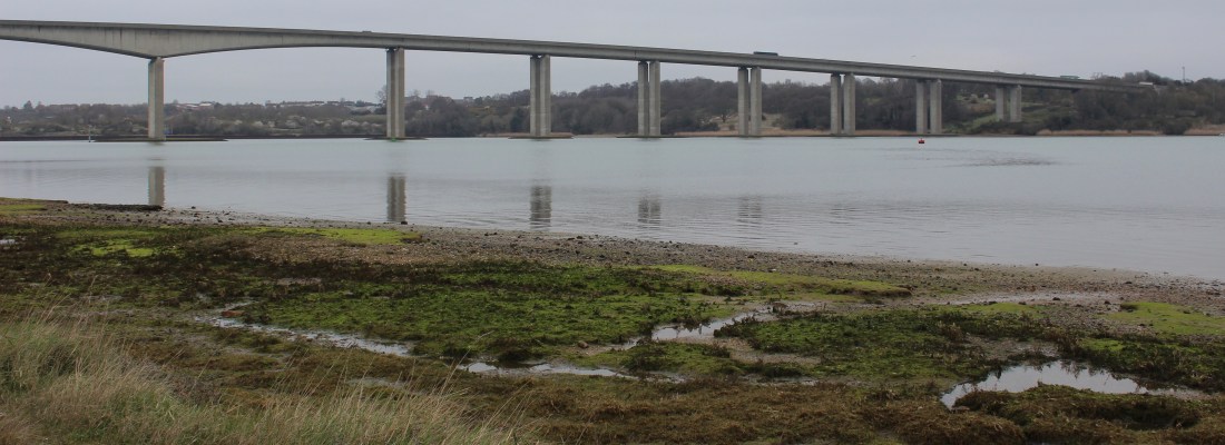 21:03:2019 View of the Orwell from the Strand (180 degrees around from Redgate Farm view)