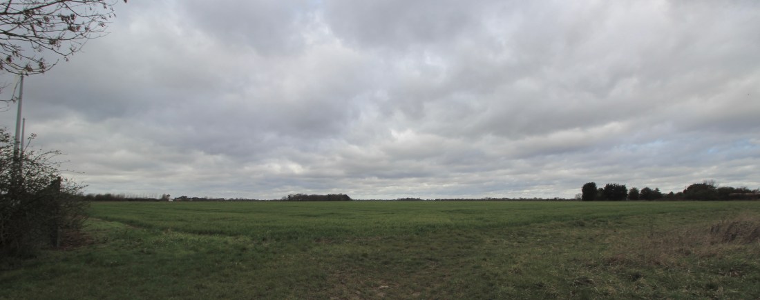 Innocence from Roselea Farm shop  2