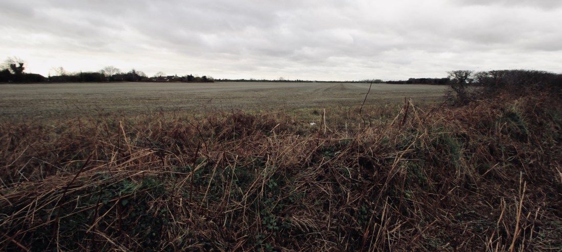 Innocence Field from Start of Innocence Lane 2