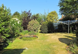 Robin's Garden May 2020