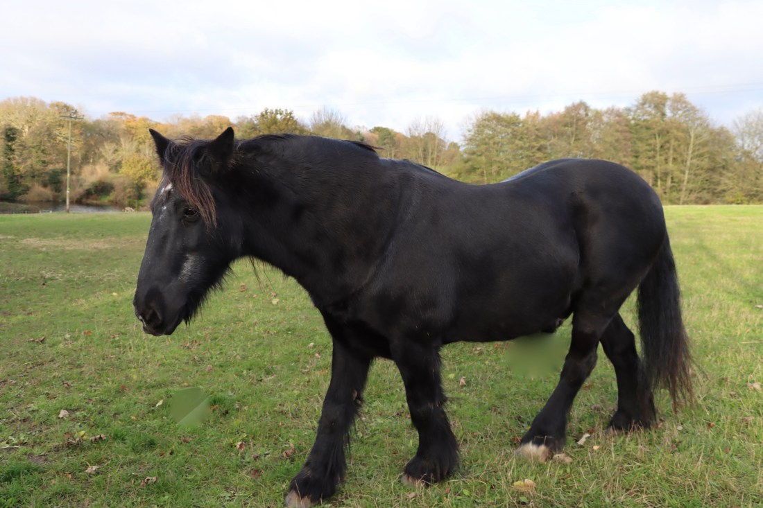 5E3CF8E3-6E0E-4D6C-9A1E-E02DAB02A3B3_1_201_a