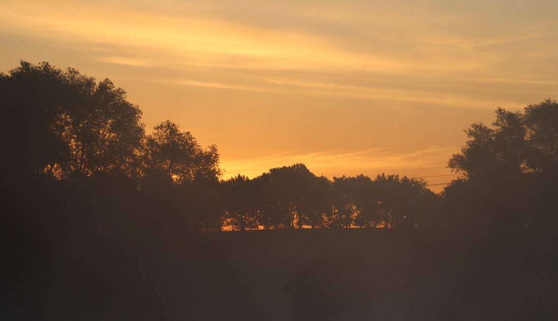 3CA295AB-59D7-4C3B-B8F8-3B689CF39C0F_1_201_a