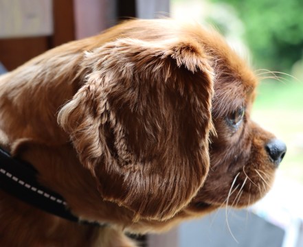 67C9989C-6171-4D5E-8C1F-E7B089898476_1_201_a