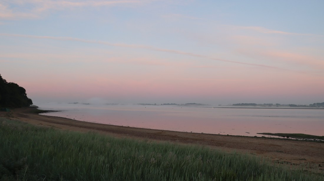 80D1D781-C073-4E0E-BB82-E4A176BEEFFC_1_201_a