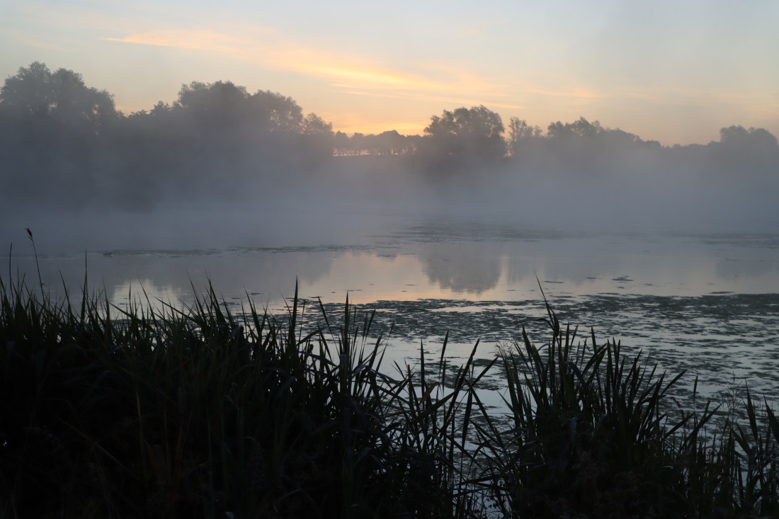 87878A37-13BA-4A53-9562-258CBBDBA229