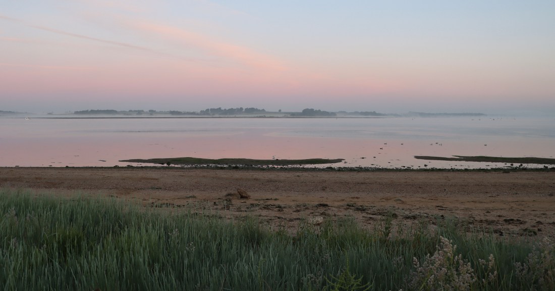 C50FA423-CCC1-4CE8-B5F8-71DC3003929E_1_201_a