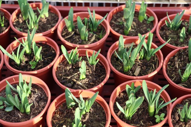 1FABCC32-D257-42BE-AEE6-F7CE031CA93B_1_105_c