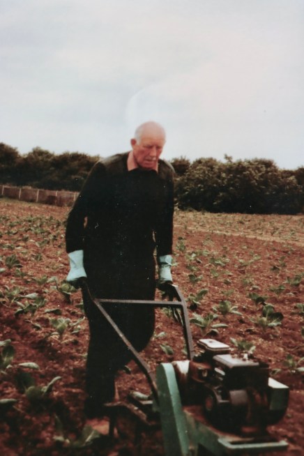 478433F8-EAD9-4C9E-A8DF-2CFE93A43717_1_201_a