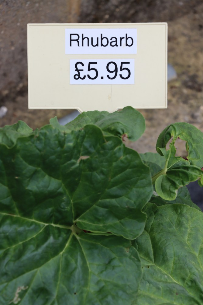 5279FD03-7ACC-4600-B78D-CDE60C682587