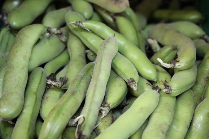 5443FE73-1181-4F9E-8D28-E3E890BCD707_1_201_a