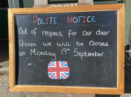 1804C754-B5F5-4AF4-A1E2-8A2FD576A64A_1_201_a