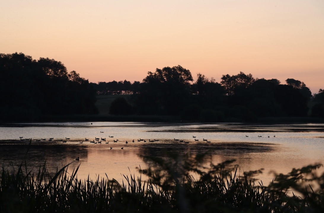 052B0405-6317-4053-9F0A-73001CE7FD65_1_105_c