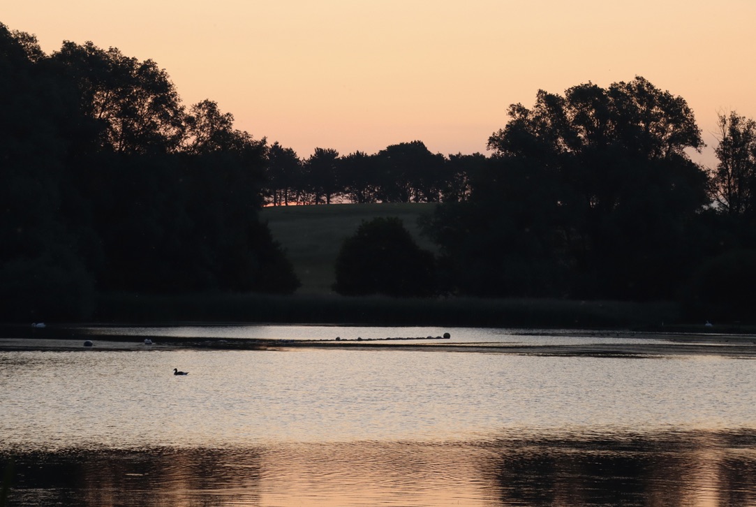 267D2DA9-1B9C-40A6-809F-28F27BF8A125_1_105_c