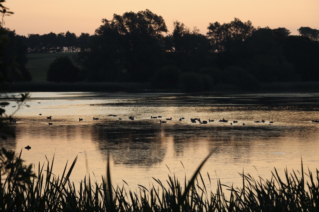 7320BAF0-6823-47BB-8E09-32D0BB3696AC_1_105_c