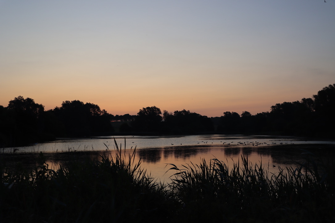 ECADB6C6-0A61-4220-AFE7-87905627197F_1_105_c